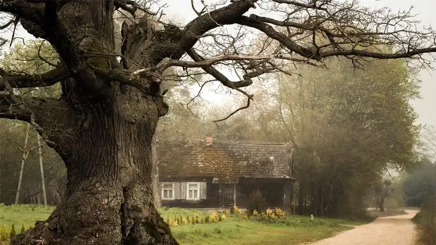 唯美复古建筑风光美景图片壁纸_风景壁纸_壁纸下载_美桌网