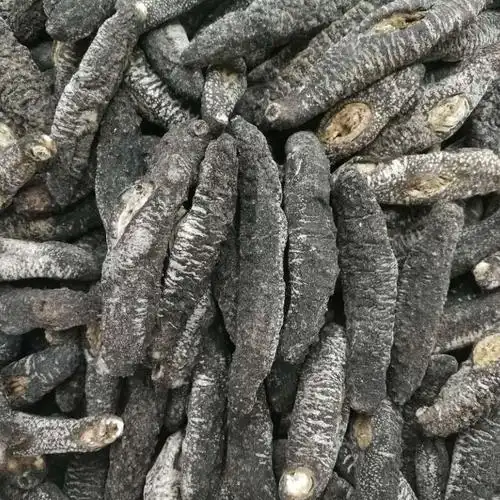 海参,是越多刺越好吗?