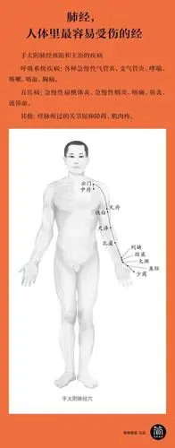 试听90秒93.肺经,人体里最容易受伤的经