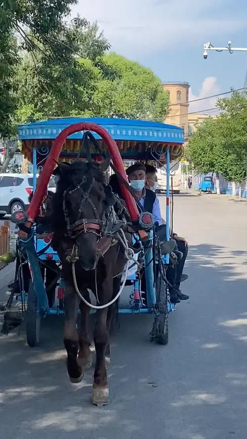 坐着马车赶巴扎(喀赞其)