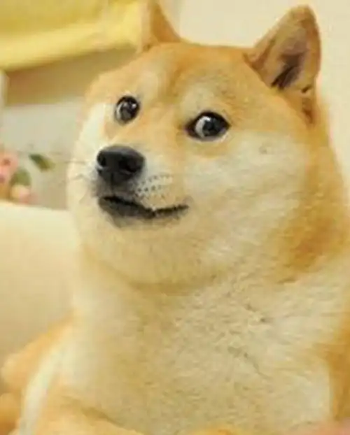 幽默笑话:两个乞丐去乞讨,结果小乞丐的一个举动,令老乞丐感动