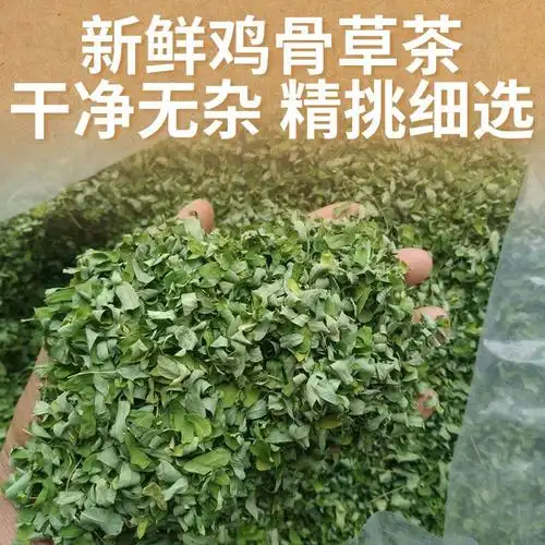 鸡骨草茶广西新鲜茶叶泡茶中药材凉茶护肝养生养生茶