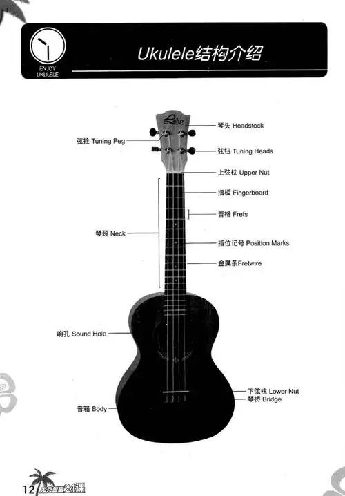 尤克里里_ukulele完全入门教程:ukulele结构介绍