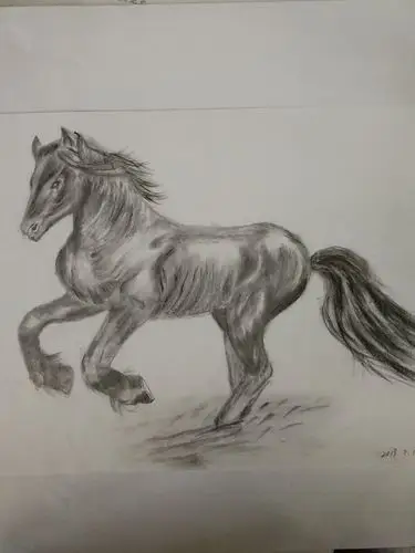 有温度的黑白灰_学素描