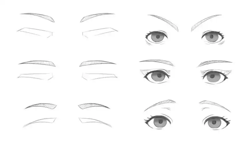 动漫人物眼睛都是一样的,只是这些动漫人物的眉毛的走势产生了变化