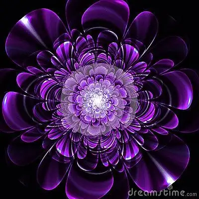 紫色花语微信头像点击鼠标右键下载_微信头像紫色的玫瑰花朵图片