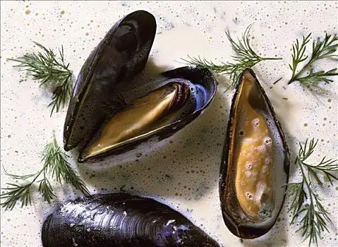 蓝贝北爱尔兰,安特里姆郡,堤道,海岸,峻岸,贻贝,石灰石,蓝色,钟点静物