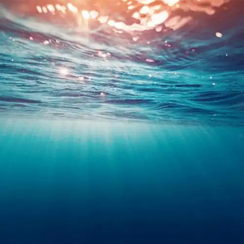 唯美海底背景图