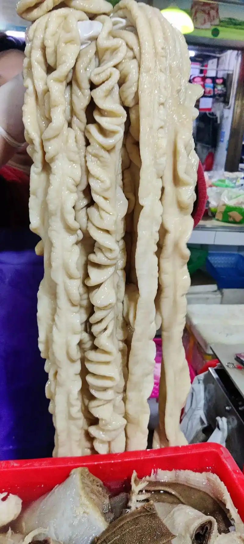 海南新鲜粉肠批发,#看上的亲赶紧砸单过来 #每天都是新鲜食材 - 抖音