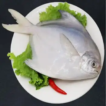 新鲜海鲜冻鲜野生白鲳鳊200g泰州财政局专供