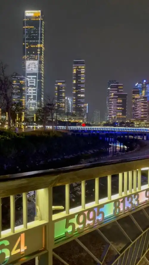 后海片区,毗邻深圳湾超级总部基地,与深圳湾滨海休闲带相连……夜景真