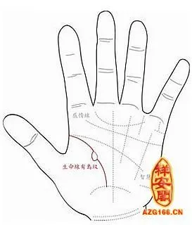 生命线有岛纹代表什么
