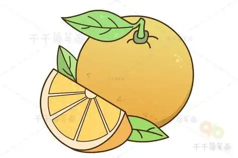 橙子简笔画橙子简笔画图片