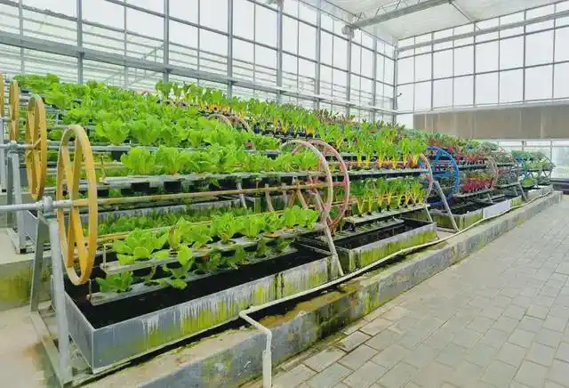 公示中,入选省级首批示范园|现代农业|农产品|铜山区_网易订阅