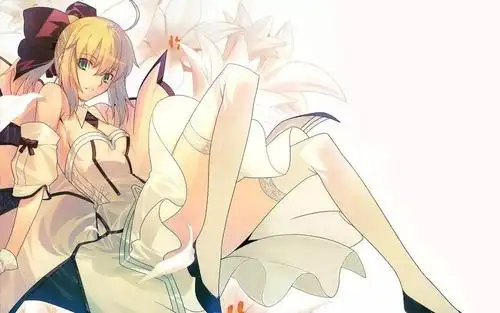 壁纸阿尔托莉雅潘德拉贡