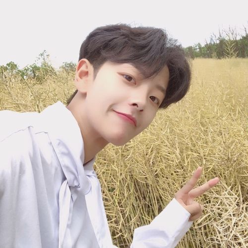 假发男中分 蓬松帅气_韩版帅气假发男中分刘海短卷发蓬松自然学生日常