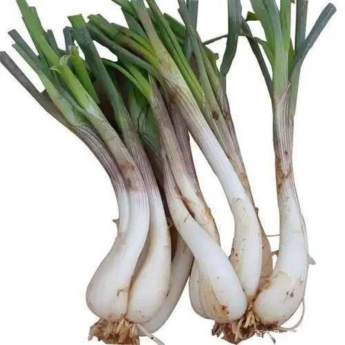 当荞头遇上板鸭,碰撞出不一样的火花!荞头炒板鸭!