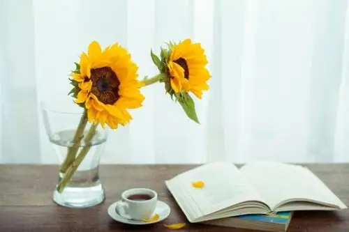 真正的知己,不是夫妻胜似夫妻!那是种「得知我幸,不得我命」的存在