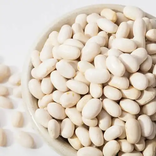 lose weight white kidney bean p.e 4:1 best price