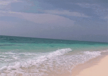 400_280gif 动态图 动图