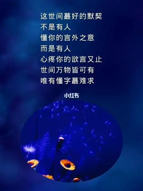 情感#情感语录 #人生感悟_沈阳攻略_人生感悟_语录_情感语录_素材