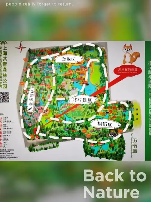 上海共青国家森林公园