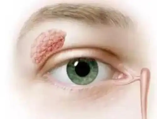 眼泪可不只是心灵窗户的"玻璃水"!哭竟是人类独有的天赋?