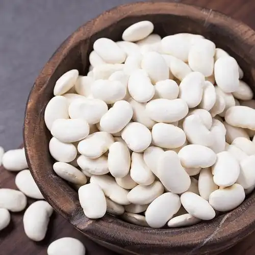 现货供应大白豆白芸豆 农家白芸豆 大腰豆五谷杂粮粗粮