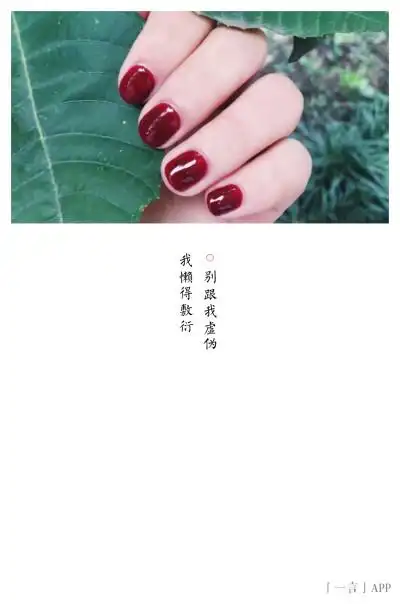 你的虚伪我懒得敷衍