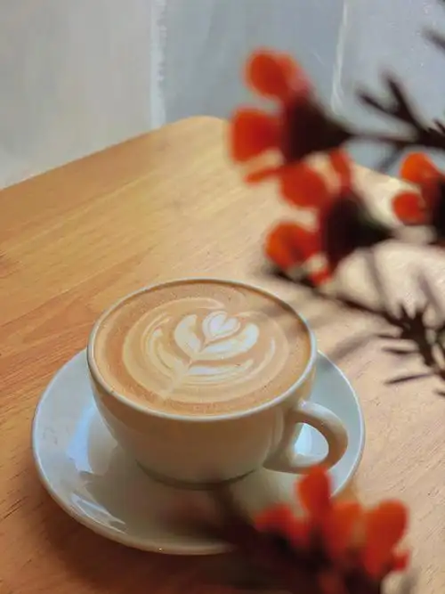 喜欢去哪种咖啡馆
我说:看心情,看天气,咖啡除了喝豆子,咖啡馆的