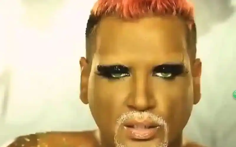 当你用苍蝇的视角看h♂p会发生什么?