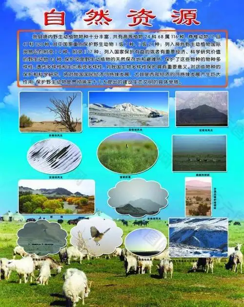自然资源展板图片