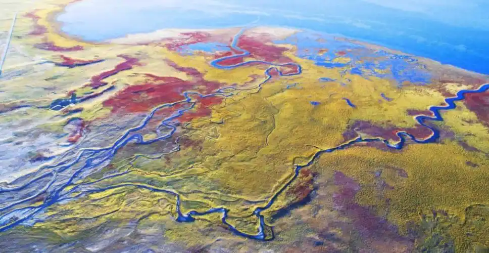 母亲河的净土——三江源