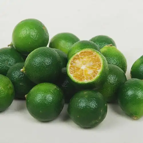 新鲜海南青金桔小青金橘酸青桔一级果每日新货茶饮原料坏果包赔