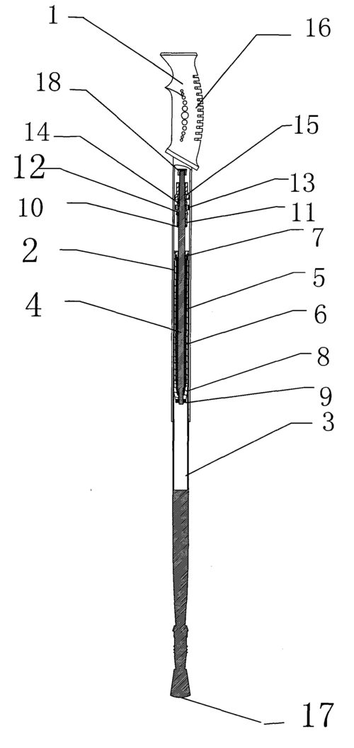 [实用新型] 一种登山杖 - 201020049412.
