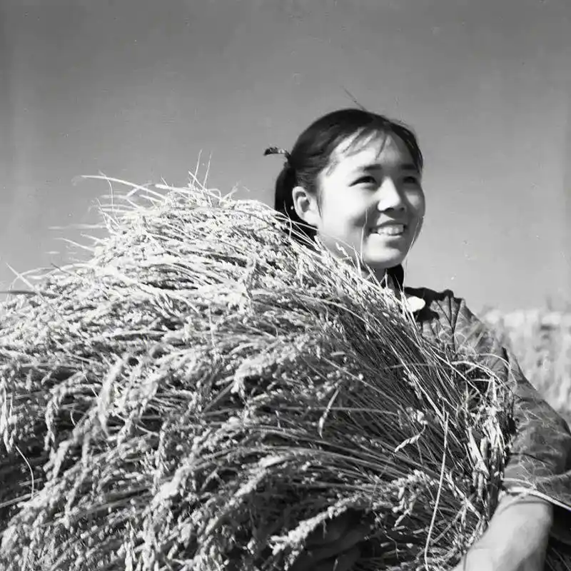 这些都是有故事的照片,怀旧的年代.#老照片的故事  - 抖音