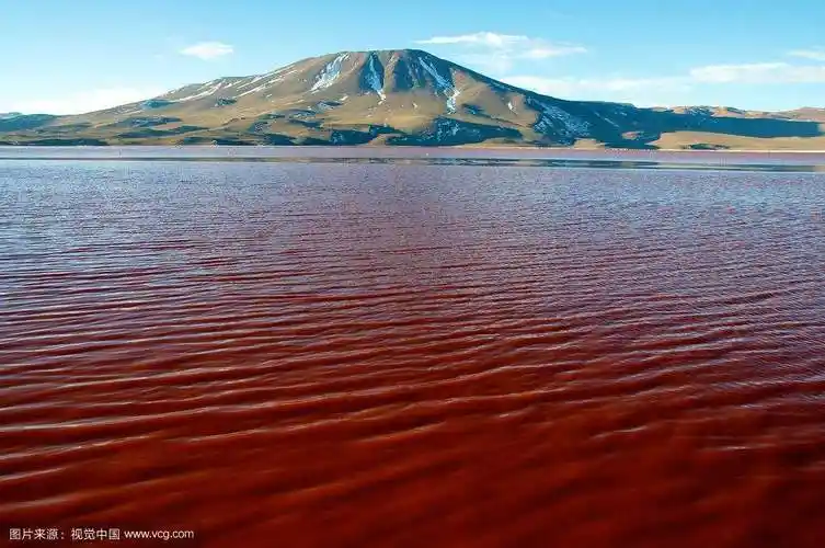 伊拉克血湖的红色液体一股血腥味令人作呕 伊拉克血湖怎么消失了