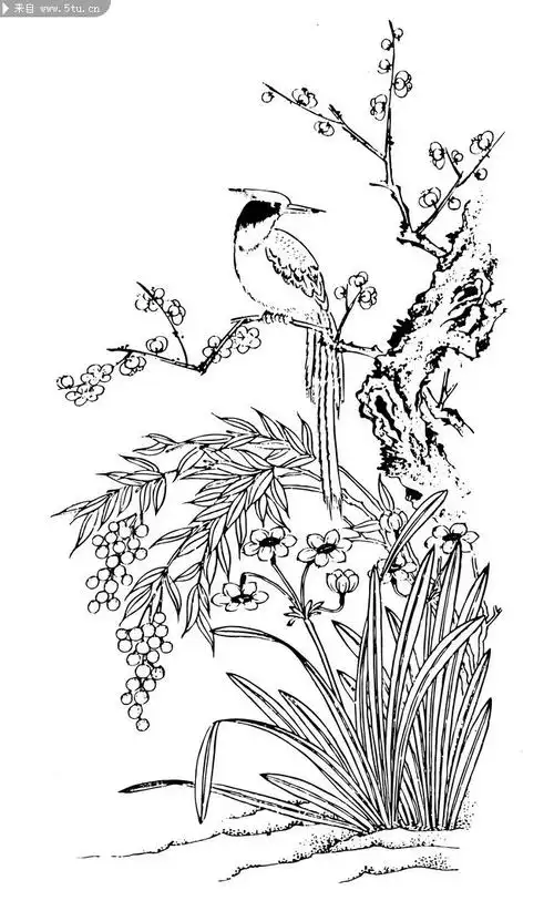 白描花鸟画中国古画