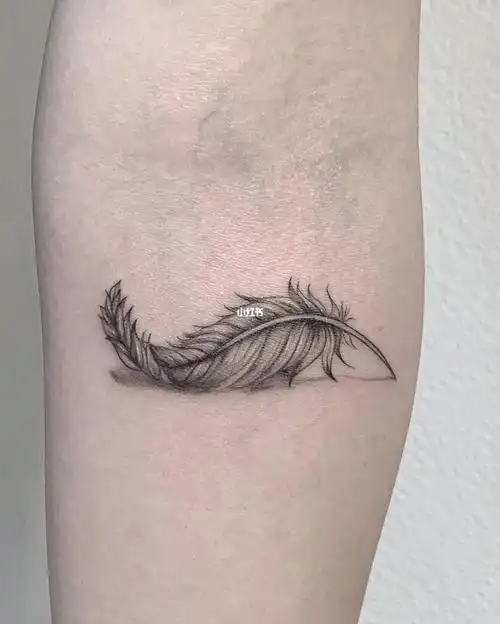 贵阳纹身  #tattoo  #羽毛纹身  #女生纹身  #女生手臂纹身