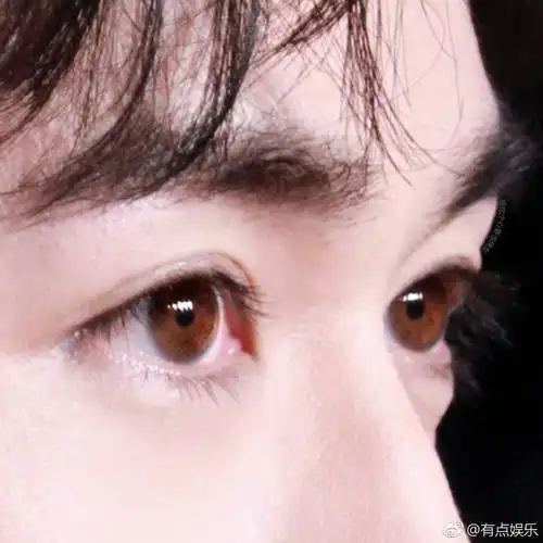 论眼睛对颜值的重要性细品朱一龙含情脉脉的眼眸