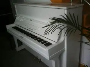 白钢琴