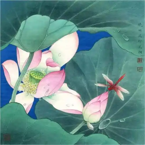 图文教程工笔画荷花蜻蜓水珠的画法步骤示范