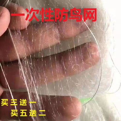 粘网 防麻雀网稻谷樱桃果园菜园大棚出风口一次性防鸟网农田户外防