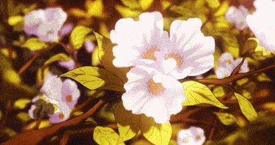 花朵gif盛开gif微风拂过gif美丽绽放gif