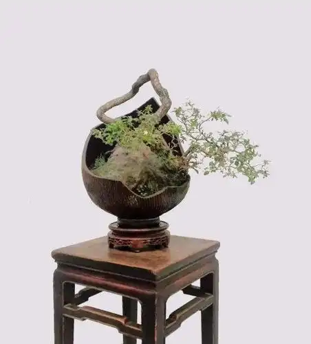 垃圾场和路边捡回来的破罐子,堆在花园里,没想到会这么美!