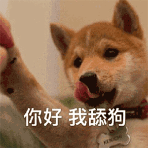 你好我舔狗萌宠聊天表情搞笑图片表情