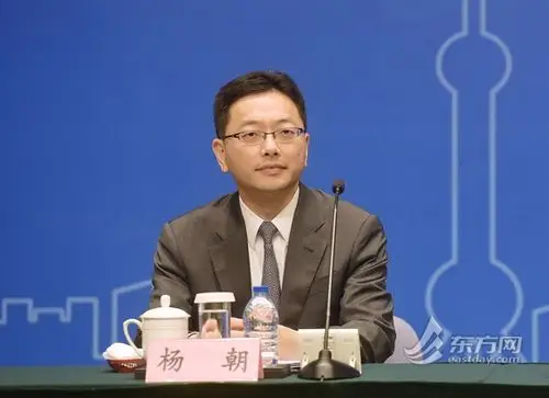 上海市,杨朝,控股公司,浦东新区,先行,曹磊,朱贝尔,清单,跨国公司