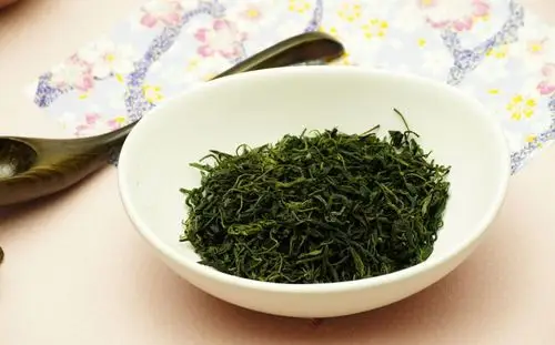 苦尽甘来-苦丁茶,给身体最好的礼物!