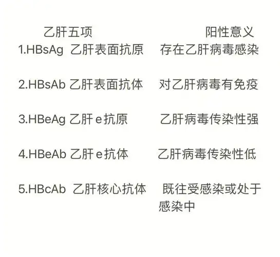 30秒读懂乙肝两对半报告大三阳小三阳