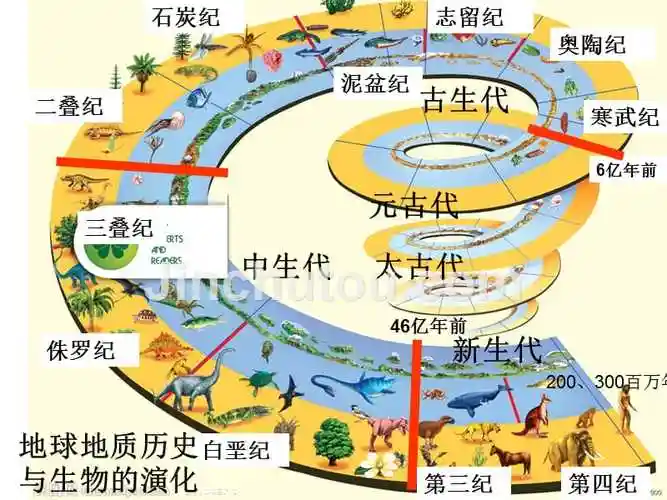 高中地理选修课行星地球之地球地质历史与生物的演化教学课件